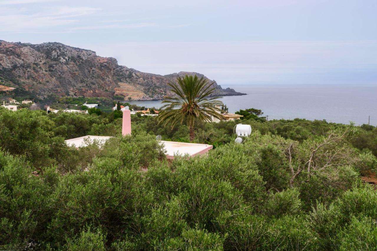 Palm Beach House Sfinarion Екстер'єр фото